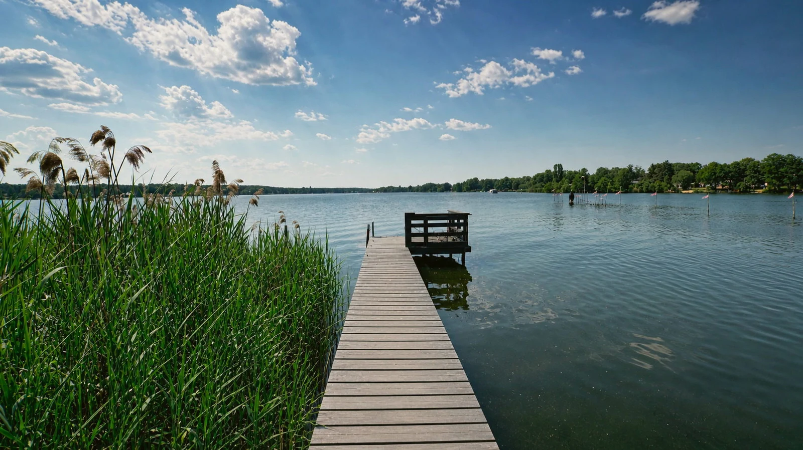 Steg und Ufer am Krüpelsee
