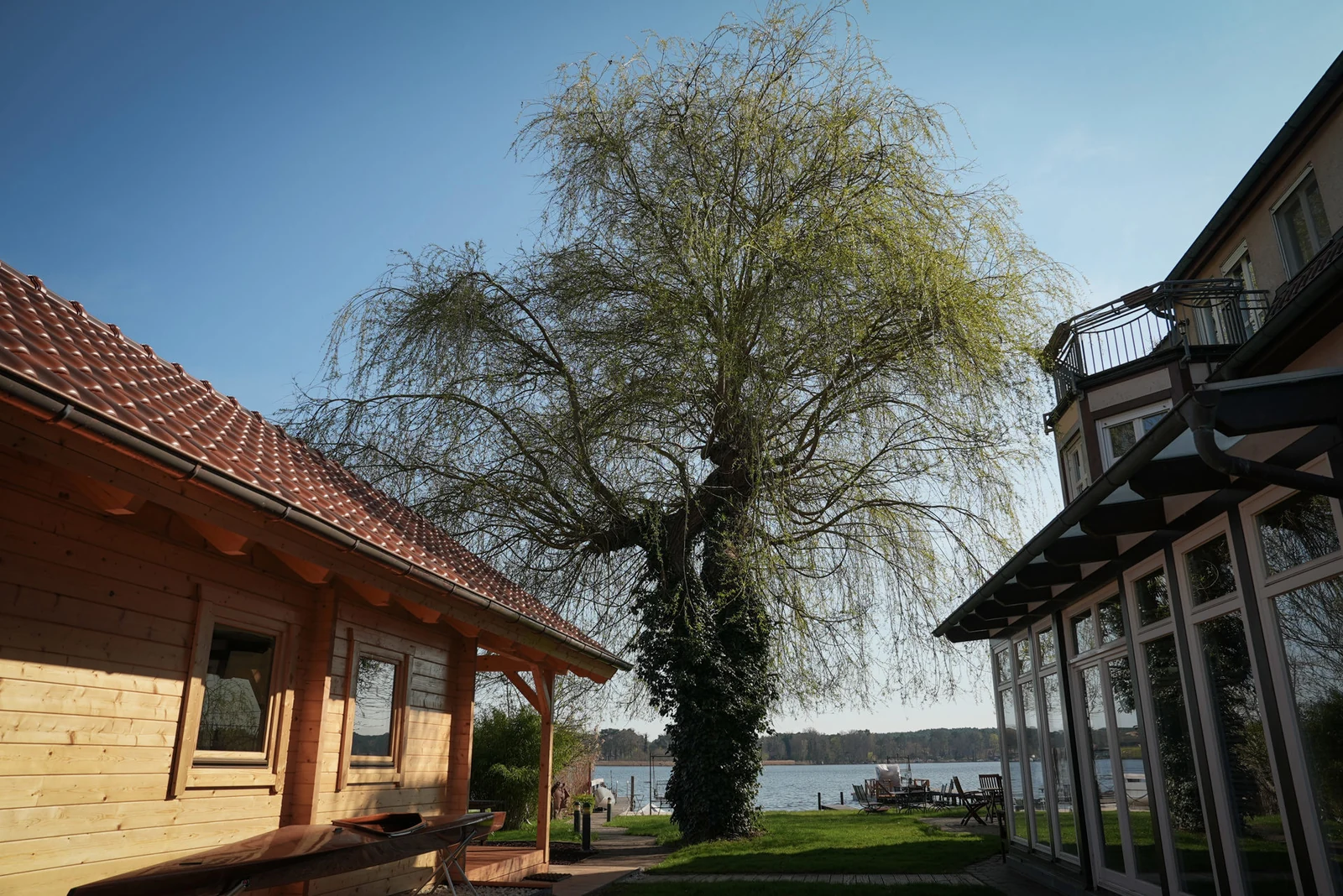 Saunahaus und Wintergarten unter der Trauerweide